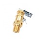 1/2 inch High Pressure Brass Safety Relief Valve for Air Compressor with Hpb59-1 Brass