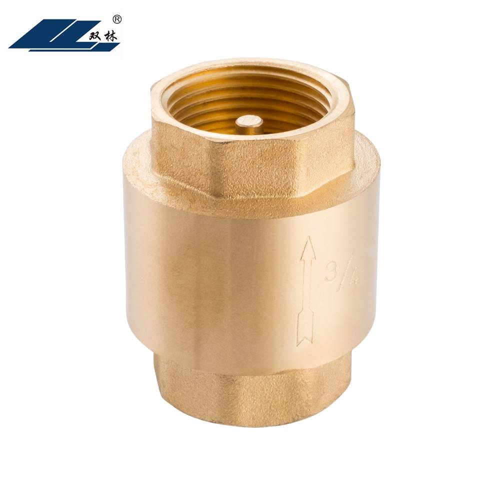 1/2 - 4 inch DN15-DN100 Vertical brass core spring check valve